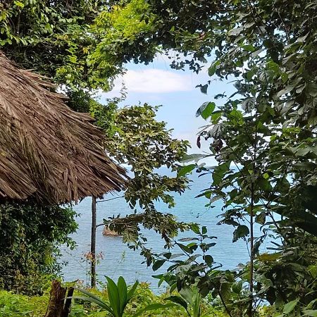 Reserva Natural Selva Mojada Nuquí 外观 照片
