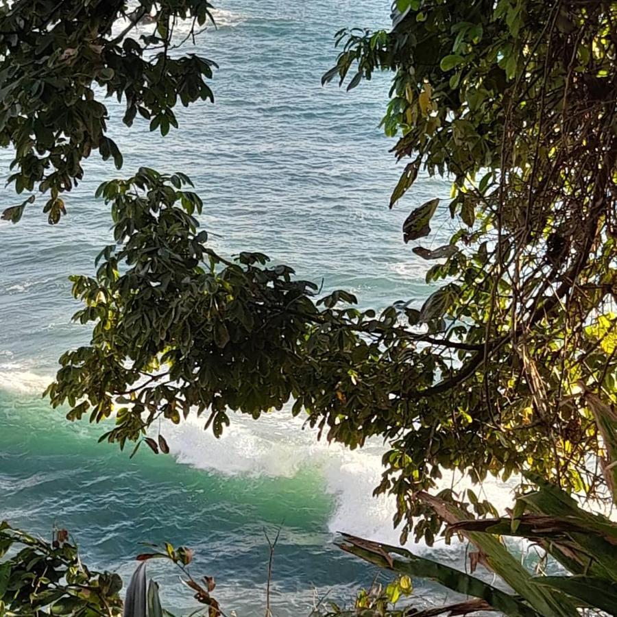 Reserva Natural Selva Mojada Nuquí 外观 照片