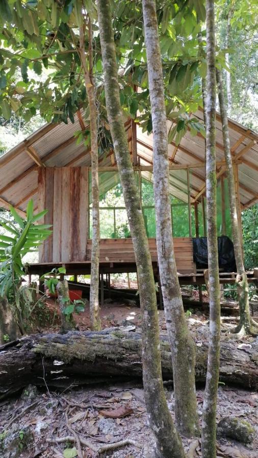 Reserva Natural Selva Mojada Nuquí 外观 照片