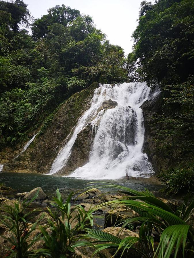Reserva Natural Selva Mojada Nuquí 外观 照片