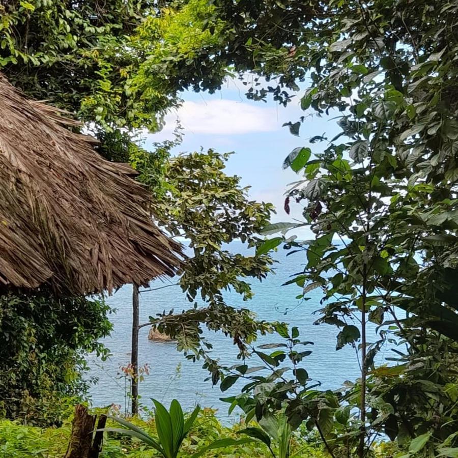 Reserva Natural Selva Mojada Nuquí 外观 照片